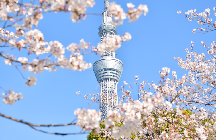 墨田区の遊園地・テーマパーク - 東京スカイツリー® | ぐるっと東京