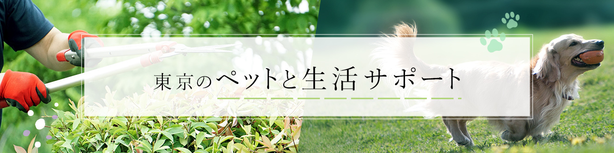 生活　ペット