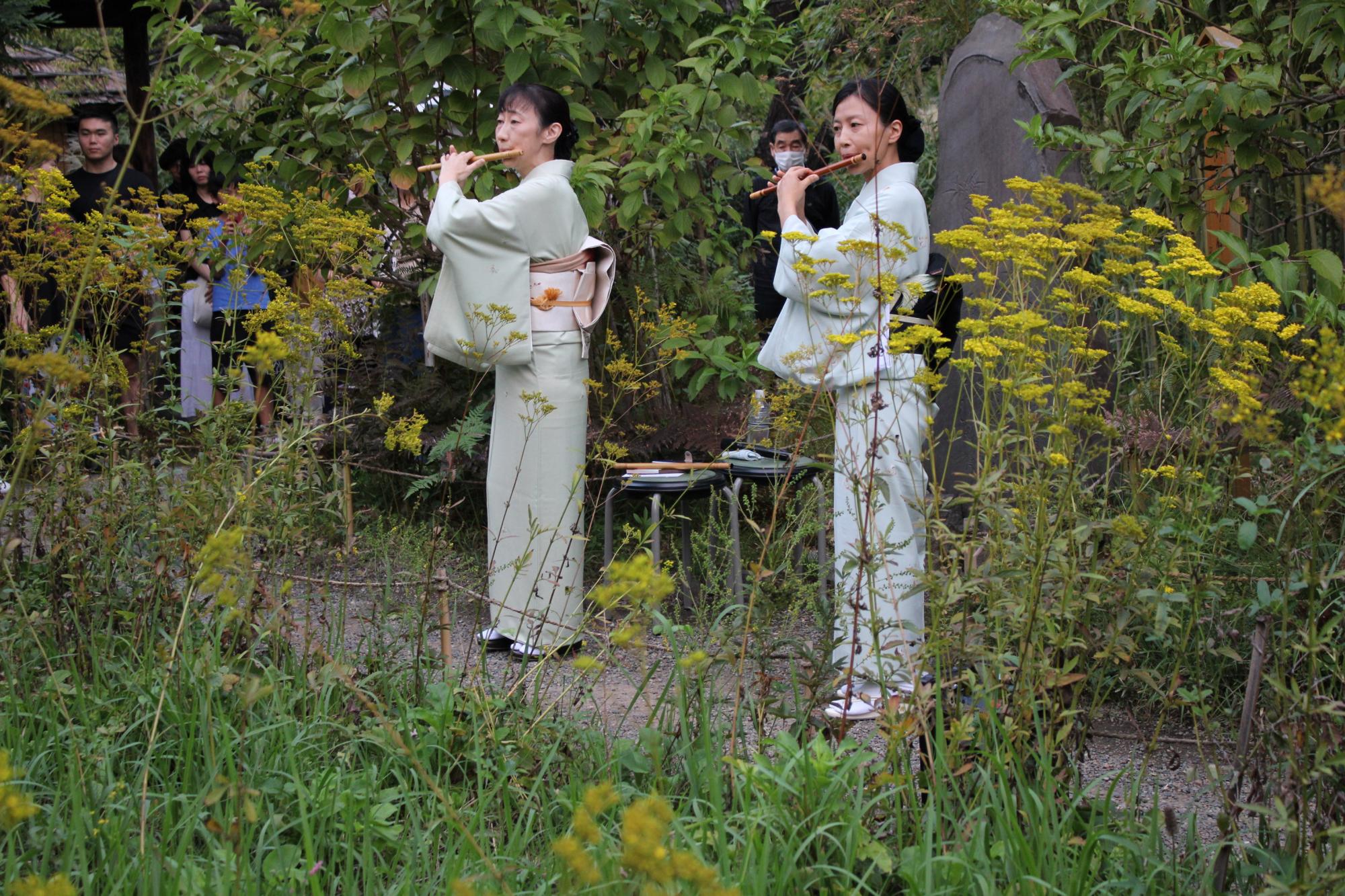 展覧会画像 2