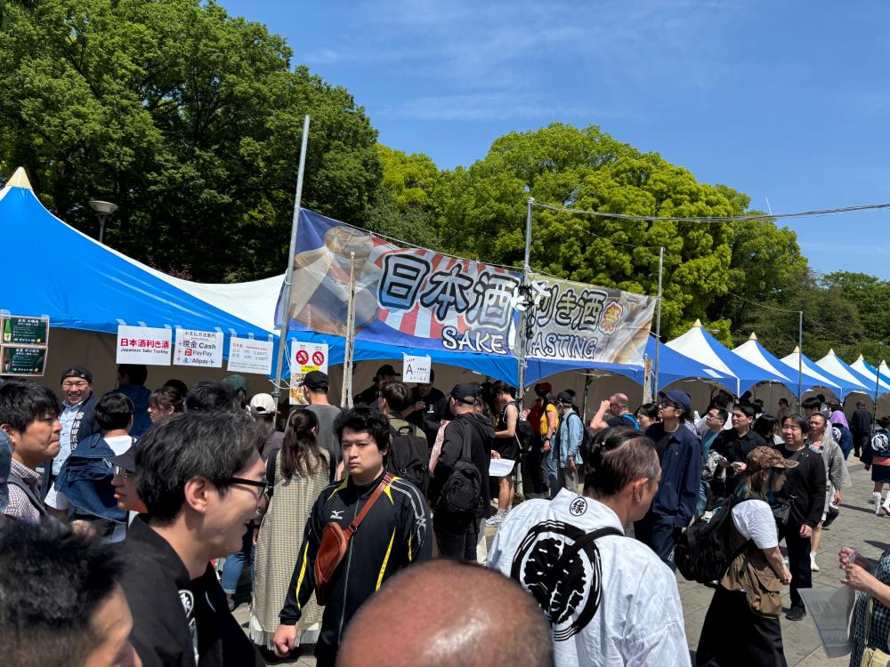 展覧会画像 2